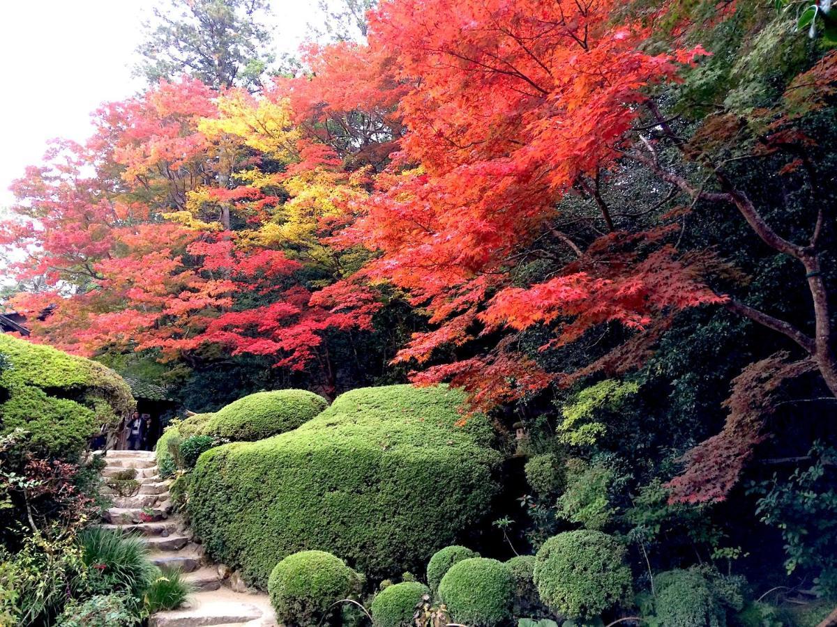 Sanzen Ya Kyoto さんぜんやきょうと- Cozy Art Space For Lover Of Travel - מראה חיצוני תמונה