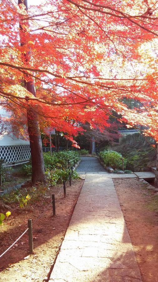 Sanzen Ya Kyoto さんぜんやきょうと- Cozy Art Space For Lover Of Travel - מראה חיצוני תמונה